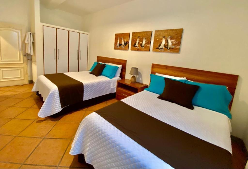 Torre Mar Galapagos Boutique Suites Puerto Ayora  Extérieur photo